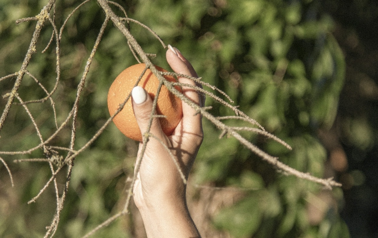 DTS_LIFE_IN_LILAC_Mar_Boerr_Photos_ID7440